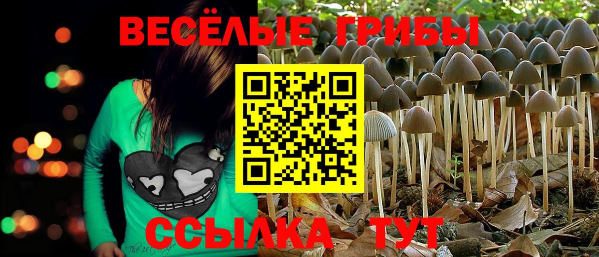 Галлюциногенные грибы Cubensis Магадан