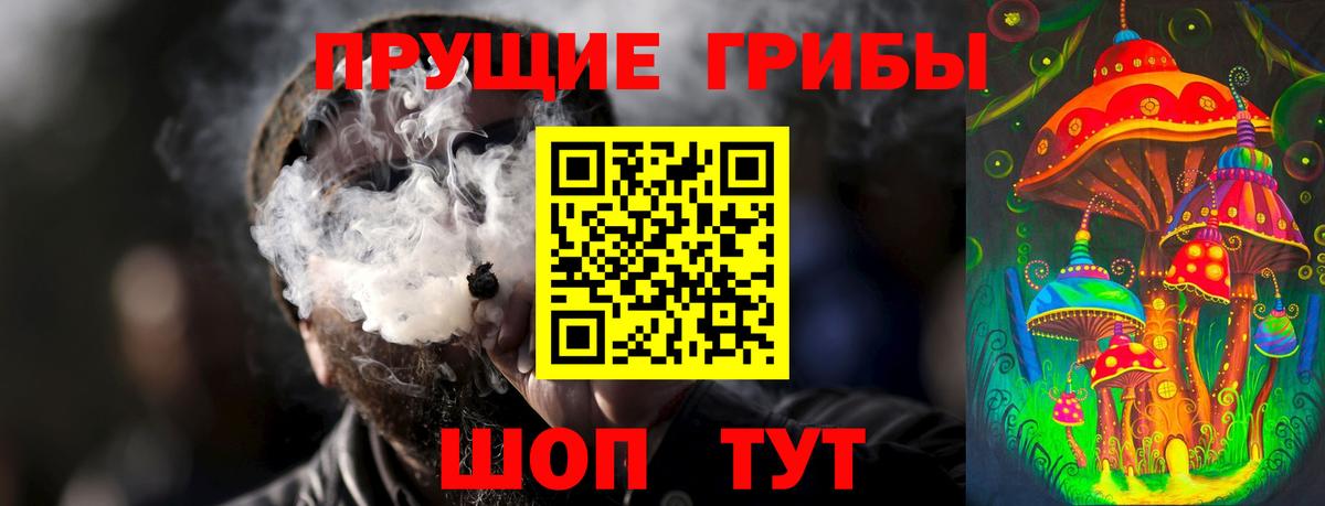 Псилоцибиновые грибы Magic Shrooms  Вход с VPN  магазин продажи   Магадан 